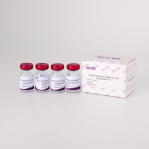 घोड़ों में ट्यूब एग्लूटिजन परीक्षण के लिए तैयार साल्मोनेला गर्भपात एटिजन - Product Image 1