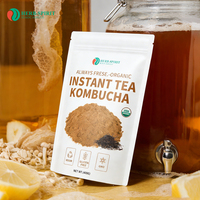 Échantillon gratuit de poudre de kombucha OEM poudre de kombucha instantanée de haute qualité à vendre