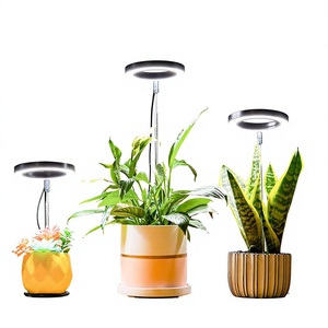 Lámpara LED de Cultivo para Plantas Angel Ring con Temporizador, Regulable, de Espectro Completo, para Simulación de Plantas Suculentas y en Maceta - Product Image 1