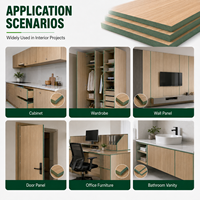 Panneaux de fibres HMR imperméables de couleur verte de 2 à 25mm Panneau MDF 18mm Feuille de mélamine Mdf Hdf