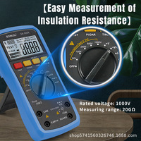 Multimètre numérique Sk-505A SNAKOL Test de résistance d'isolation de haute précision et compteur de réparation automatique New Energy deux-en-un