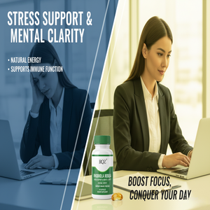 로제아 로디올라 500mg 성인용 캡슐 스트레스 지원 정신 명료함 자연 에너지 지원 면역 기능 식이 보충제 60 - Product Image 4