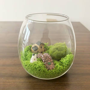 Terrario in Vetro da Tavolo con Coperchio in Sughero, Mini Vaso Decorativo per <span class=keywords><strong>Piante</strong></span> di Muschio e Fiori, Centrotavola - Product Image 3