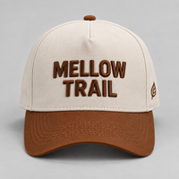 Casquette de baseball 5 panneaux en coton bicolore brodée en 3D avec logo personnalisé, réglable, pour hommes, pour sports de plein air, OEM ODM, vente en gros, usine