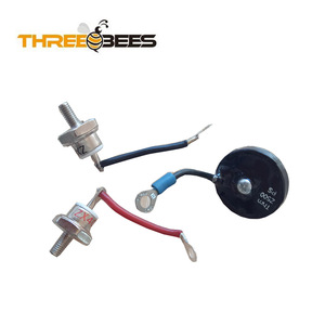 Lắp ráp rsk5001rotating Diode Kit chỉnh lưu với varistor - Product Image 3