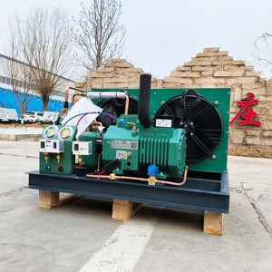 4HP kompresör çekirdek bileşenleri ile 20hp hava soğutmalı yoğuşmalı birim motor otomatik evaporatör dondurucu oda enerji tasarrufu - Product Image 3