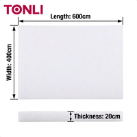 Planche à découper rectangulaire Tongli en PE écologique, épaisse, antibactérienne, non toxique, durable, compatible lave-vaisselle, épaisseur 1,3 cm