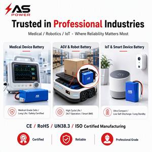 Paket Baterai Lithium Custom Ansen AS-DCZ OEM Grosir Pesanan Massal Stok Gudang Pengiriman Global Semua Ukuran Tegangan 1000 Siklus - Product Image 1