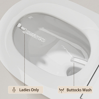 Nouveauté Toilettes électriques à ouverture automatique Toilettes intelligentes Bol de toilette intelligent Détecteur de contact au pied Chasse d'eau intelligente pour femmes Bidet