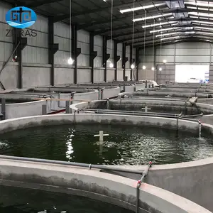 Tuần hoàn hệ thống nuôi trồng thủy sản PP nhựa bể cá sống PP bể nuôi cá tròn