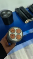 0,6/1kV 2/3/4/5-adriges Kupferkabel 16mm² 25mm² 35mm² 50mm² 70mm² 95mm² 120mm² XLPE-Stromkabel für Bauarbeiten