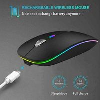 OEM Leise Schlanke RGB LED Maus Dual-Modus 2.4G/BT Kabellos Wiederaufladbar Dual-Modus Inalambrico für Desktop und Laptop Aufladbar