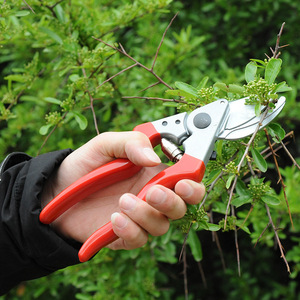 Sécateur Old Friend en acier inoxydable, lame de 55 mm, diamètre de coupe de 20-30 mm, structure papillon, outils de jardin - Product Image 4