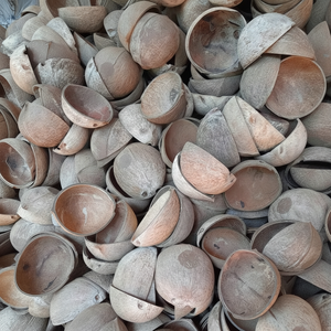 Cuencos de cáscara de coco personalizados hechos a mano naturales ecológicos crudos de alta calidad del proveedor de Vietnam - Product Image 1