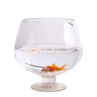 High-Quality Large Glass Fish Bowl Effective For Daily Use - Alibaba.Com