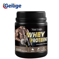 Poudre de protéines de lactosérum au chocolat OEM 500g 20 portions, teneur élevée en protéines, croissance musculaire, supplément nutritionnel post-entraînement pour la salle de sport