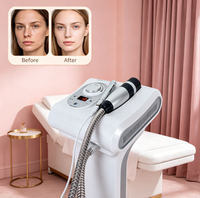 Appareil de cryothérapie portable en ABS, cryo-électroporation, mésothérapie sans aiguille, machine pour la peau, EMS anti-âge, radiofréquence, soin du visage, beauté