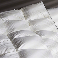 Insert de couette en duvet de canard de qualité supérieure blanc toutes tailles housse en coton Extra épaissie Collection d'hôtel couette en duvet d'hiver lourd