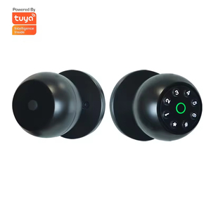 Bouton rond intelligent Tuya pour serrure de porte de maison intelligente Tuya avec mot de passe bouton de porte intelligent pour porte de chambre - Product Image 1