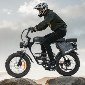 Bicicleta Eléctrica Hidoes B9 en Stock en Reino Unido y UE, Entrega Rápida, Motores Dobles, 7 Velocidades, Llantas Gruesas de 20 Pulgadas - Product Image 1