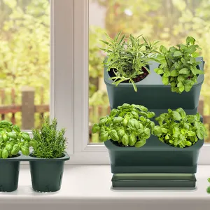 Encimera de mesa de cocina, jardín de hierbas, pared interior, ventana, maceta para cultivar hierbas frescas en casa