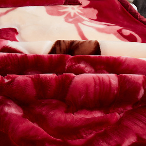 Chăn nỉ san hô Hàn Quốc in hoa mềm mại ấm áp cho mùa đông, giường đôi, 2 lớp, chất liệu Raschel - Product Image 6