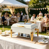 Chauffe-Plat Rectangulaire Visible 9L Or Blanc pour Buffets d'Hôtel, Mariages et Restauration de Petites Entreprises – Maintien au Chaud des Aliments