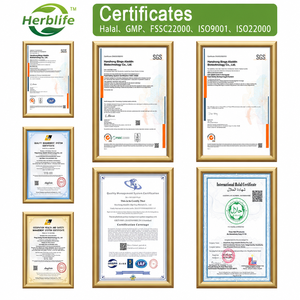 Complément Alimentaire OEM Marque Blanche : Capsules de Soutien Hépatique au Chardon-Marie, Complexe de Choline, Zinc, Artichaut et Racine de Pissenlit - Product Image 6
