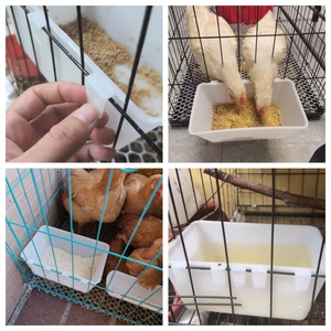 Comedero y bebedero colgante <span class=keywords><strong>para</strong></span> pollos Equipo <span class=keywords><strong>para</strong></span> aves <span class=keywords><strong>de</strong></span> corral Comedero <span class=keywords><strong>para</strong></span> pollos Comedero bebedero <span class=keywords><strong>para</strong></span> pollos - Product Image 6