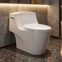 Ensemble WC et lavabo en céramique monobloc, style moderne, à poser au sol, à double chasse, allongé, avec siphon en S