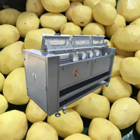 Qd Industriële Fruitgroente Wasmachine Dunschiller Hoge Productiviteit Roestvrijstalen Reinigingsmachine Voor Aardappelen Lotus Wortel Maïs