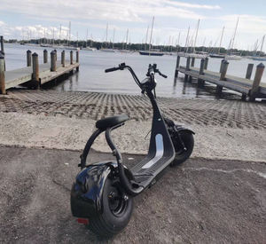 Nuovo modello COC Scooter elettrico 1000w Citycoco batteria 60v 20ah moto Chopper <span class=keywords><strong>motore</strong></span> 2000w - Product Image 6