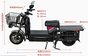 Vélo électrique tout-terrain 20 pouces à pneus larges, moteur 750W, style rétro vintage, double batterie, pour la montagne, vente en gros usine - Product Image 2