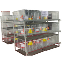 Cages à poulets de pondeuse de type A 160 poulets par unité de cages de pondeuse Poulet à œufs Ferme avicole