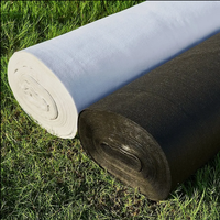 Géotextile perméable à l'eau pour le drainage des sous-sols et la prévention de l'engorgement des eaux dans les terres agricoles, isolation des eaux, protection des pentes
