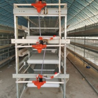 Cage de batterie pour l'élevage de volailles, pigeons et cailles avec système d'abreuvement automatique