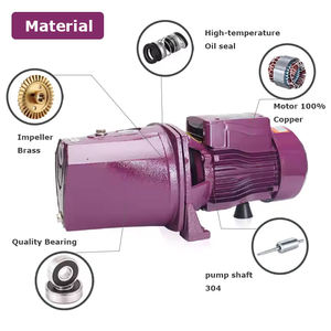 <span class=keywords><strong>Pompe</strong></span> à eau <span class=keywords><strong>Venturi</strong></span> monophasée 1HP auto-amorçante pour l'irrigation de jardin - Product Image 3