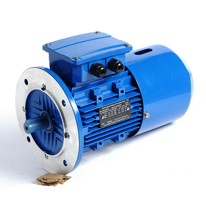 Moteur à induction triphasé 0,25 kW AC 220 V 3000 tr/min à prix avantageux avec fréquence 50 Hz - Product Image 2