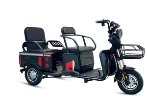 <span class=keywords><strong>Tricycle</strong></span> électrique motorisé à trois roues Everbright 48V, rickshaw pour passagers, carrosserie ouverte, puissance 501800W, vitesse 30 km/h, pour adultes 2 - Product Image 3