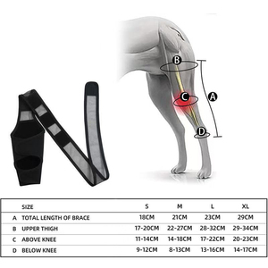 Penyangga Lutut Anjing <span class=keywords><strong>Sport</strong></span> Nylon 100% yang Dapat Disesuaikan, Penutup Hook and Loop, Tebal, Bernapas, Perlindungan untuk Pemulihan ACL, Ukuran Kaki Besar - Product Image 6