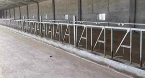 Vendita diretta di nuove attrezzature per l'allevamento di ovini e caprini, compresa la recinzione di capra - Product Image 6