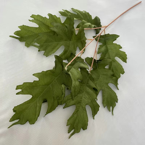 Vente en gros de feuilles vertes artificielles, clématites, feuilles de fleurs artificielles <span class=keywords><strong>série</strong></span> verte pour décoration de mariage à la maison - Product Image 3