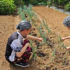 Balsina nonna Wit usato extension per capelli e parrucche - Product Image 1