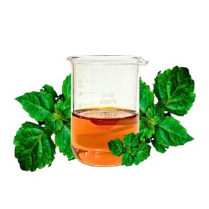 Aceite de Pachulí Puro de Primera Calidad con Aroma Amaderado Balsámico para Perfumería y Cosméticos - Product Image 1