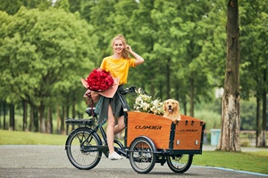 Vélo cargo électrique à 3 roues, moteur central 36V 250W, style Bakfiets familial, cadre en aluminium, <span class=keywords><strong>Nexus</strong></span> <span class=keywords><strong>8</strong></span> vitesses, freins à disque hydrauliques - Product Image 5