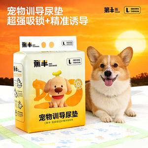 Pet Training <b>Pee</b> <b>Pad</b> L Size Thickened Absorbent For Dog Puppy Training - Product Image 1