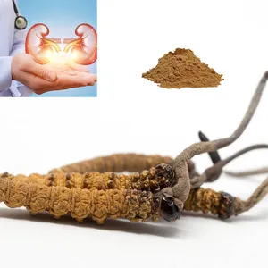 OEM Manufacturer Supply Cordyceps Mycelium Powder CS4 Capsule