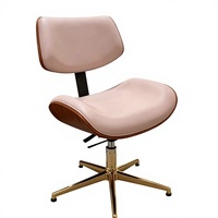 Fauteuil de Salon Inclinable de Luxe de Haute Qualité avec Base Dorée et Pompe Réglable, Tabouret de Beauté en Gros pour Salons de Coiffure