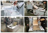 Machine à modeler les biscuits, haute qualité, vente en gros d'usine