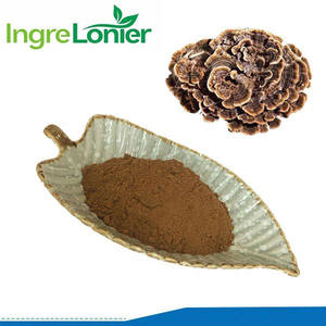 卸売バルク純天然30%ポリサッカライド-K（<span class=keywords><strong>PSK</strong></span>）ポリサッカライドペプチド（PSP）ターキーテールマッシュルームエキス粉末 - Product Image 2